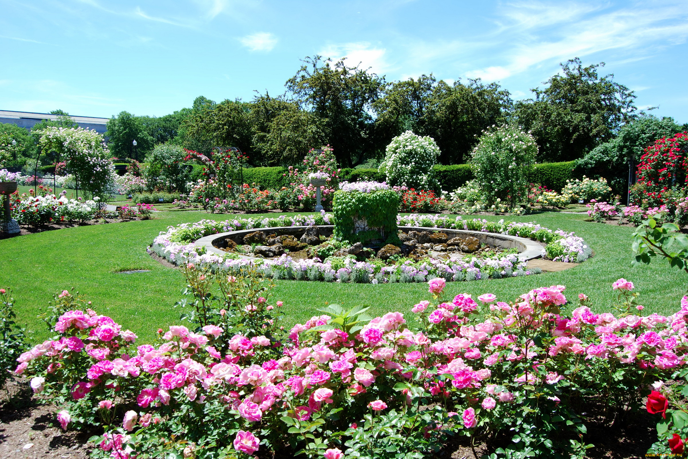 , , rose, gardens, usa, boston